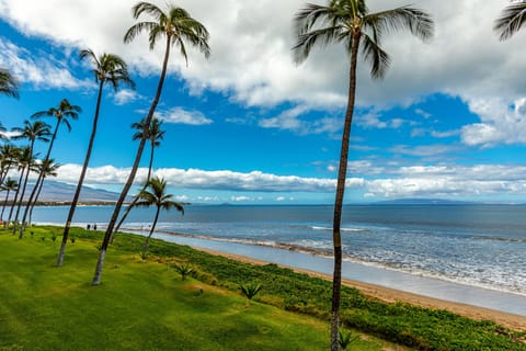 Condo, 1 Bedroom | Beach | On the beach