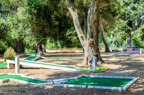 Mini-golf