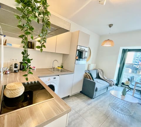 Apartment, 1 Bedroom | Private kitchen | Fridge, oven, stovetop, electric kettle