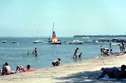 On the beach, beach volleyball, motor boating, fishing