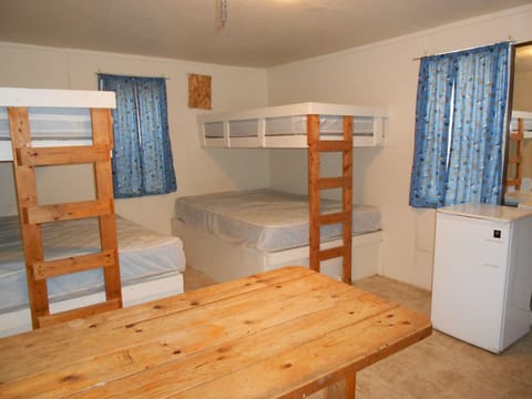 Basic Cabin, Non Smoking, Shared Bathroom (Mini Refrigerator Linens not provided)