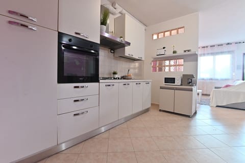 Basic Apartment | Private kitchen | Full-size fridge, microwave, oven, stovetop