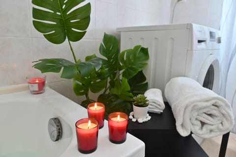 Basic Apartment | Bathroom | Combined shower/tub, hydromassage showerhead, hair dryer, bidet