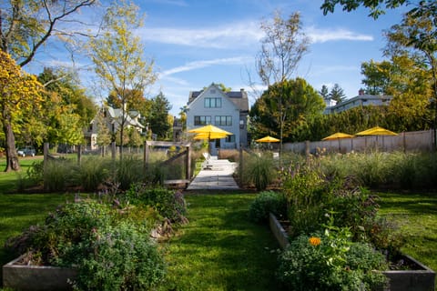 Seasonal outdoor pool, pool umbrellas, sun loungers