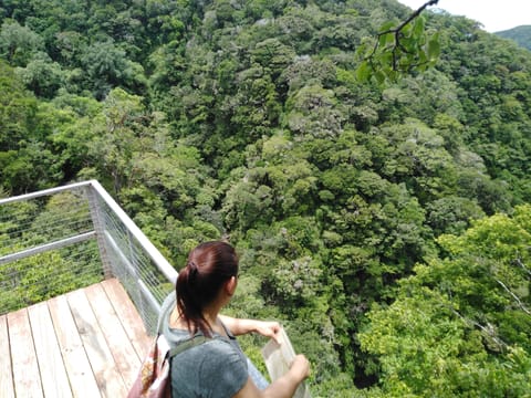 Hiking