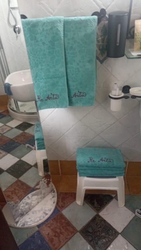 Shower, hair dryer, slippers, towels