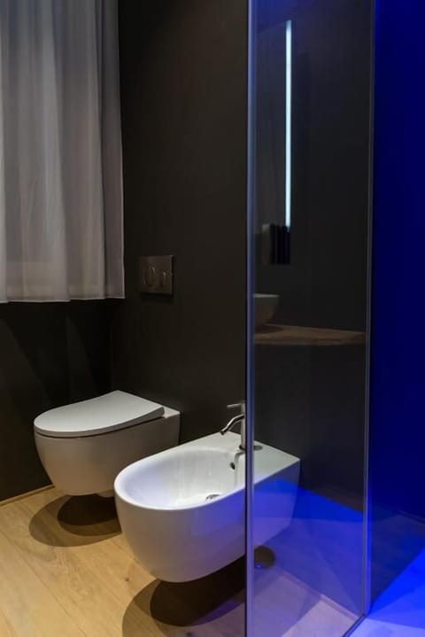 Shower, free toiletries, hair dryer, bidet