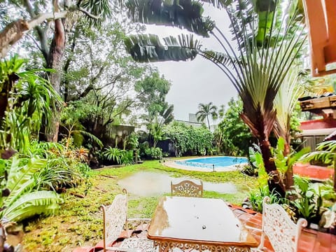 Indoor pool, open 8:00 AM to 6:00 PM, sun loungers