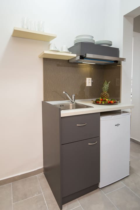Standard Apartment | Private kitchenette | Fridge, dishwasher, cookware/dishes/utensils, cleaning supplies