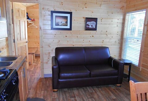 Flat-screen TV, DVD player, table tennis