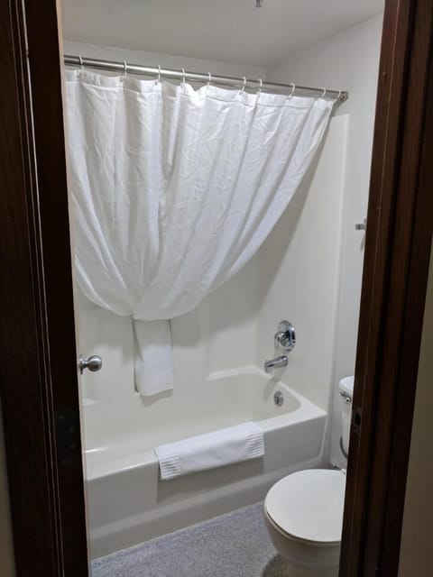 Free toiletries, hair dryer, bidet, towels