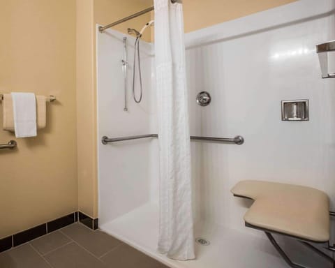 Combined shower/tub, free toiletries, hair dryer, towels