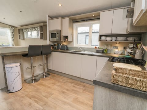 Fridge, dishwasher, electric kettle, toaster