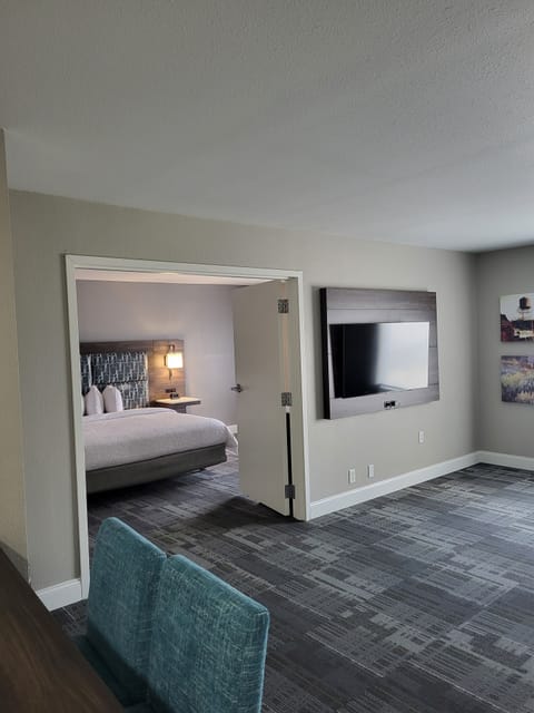 Suite, 1 King Bed, Non Smoking | Desk, laptop workspace, blackout drapes, iron/ironing board