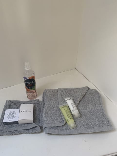 Classic Double Room | Bathroom | Free toiletries, hair dryer