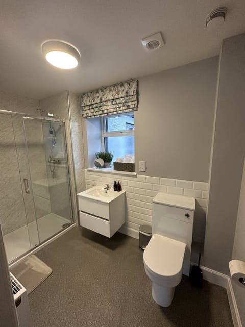 Deluxe Double or Twin Room | Bathroom | Shower, hair dryer, towels, soap