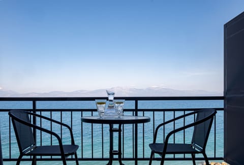 Beach/ocean view