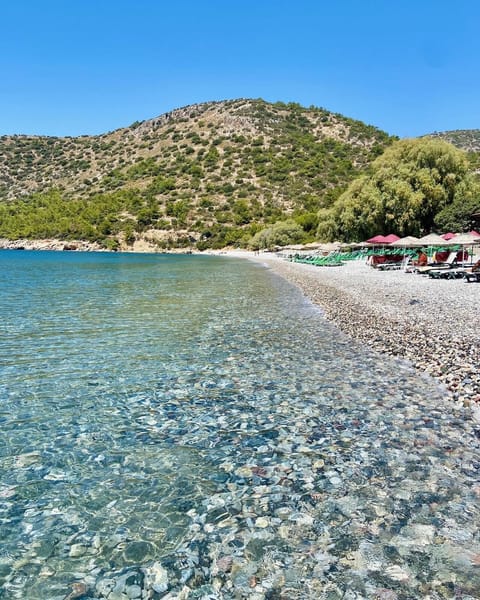Private beach, white sand, free beach shuttle