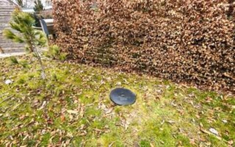 House | Property grounds