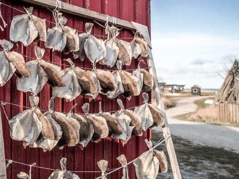 House | Property grounds