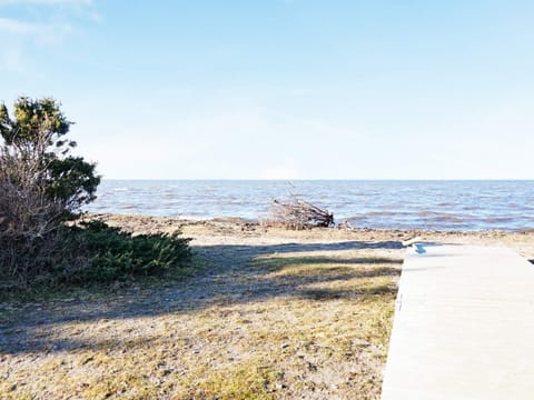 House | Beach