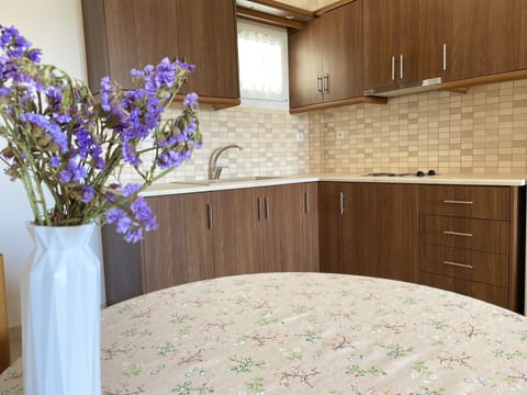 Family Apartment | Iron/ironing board, free cribs/infant beds, free WiFi, bed sheets