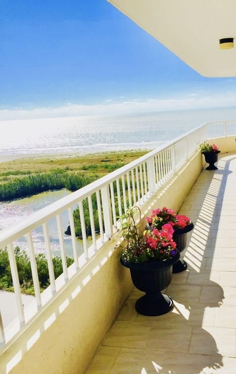 Apartment, 2 Bedrooms, Non Smoking, Ocean View | Reception