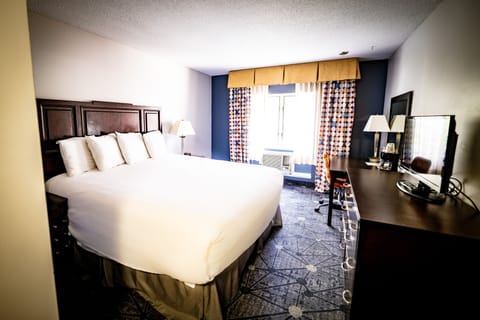 Deluxe Room | Individually decorated, individually furnished, desk, laptop workspace