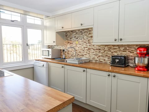 Fridge, dishwasher, electric kettle, toaster