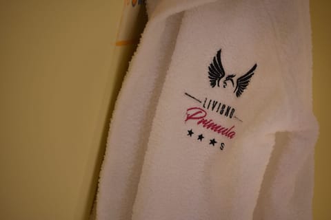 Shower, hair dryer, bathrobes, slippers