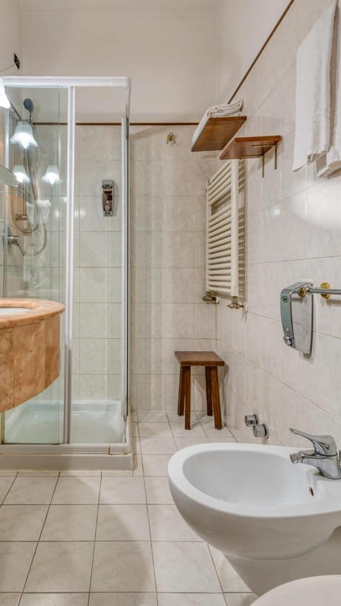 Hair dryer, bidet, towels