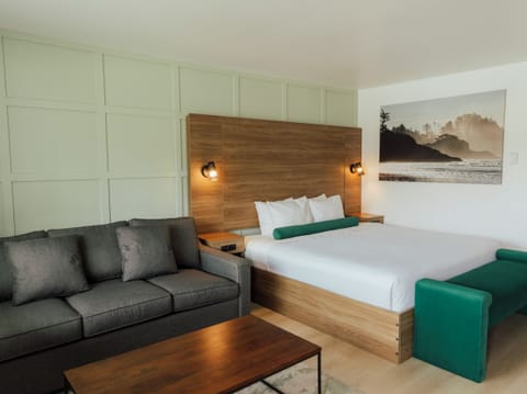 Deluxe Room, 1 King Bed with Sofa bed, Kitchenette | Desk, laptop workspace, blackout drapes, free WiFi