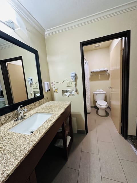 Room, 1 King Bed, Non Smoking | Bathroom | Eco-friendly toiletries, hair dryer, towels, soap