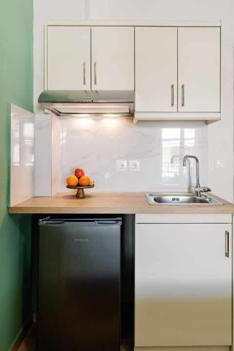 Family Apartment, Balcony, Partial Sea View | Private kitchen | Fridge, stovetop, cookware/dishes/utensils, cleaning supplies