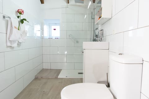 Traditional Double or Twin Room | Bathroom | Shower, free toiletries, hair dryer, towels