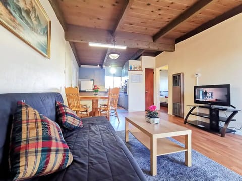 Family Apartment | Living area | 24-inch Smart TV with satellite channels, TV