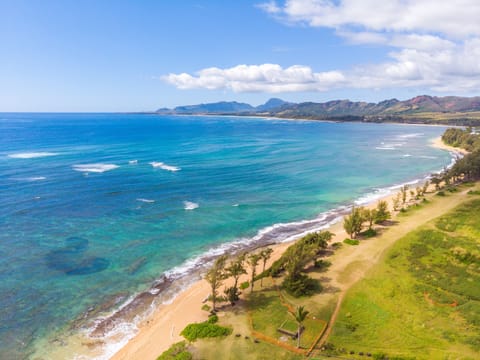 Condo, 1 Bedroom | Beach | Beach nearby