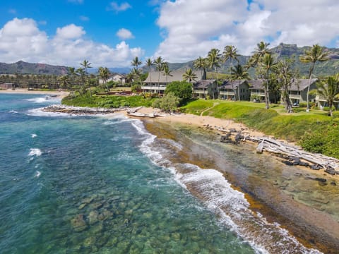 Condo, 2 Bedrooms | Beach | On the beach