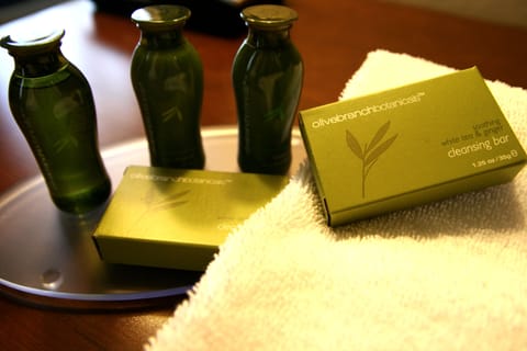 Free toiletries, hair dryer, towels