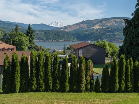 Premium bedding, individually decorated, individually furnished, desk