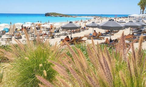 Beach nearby, white sand