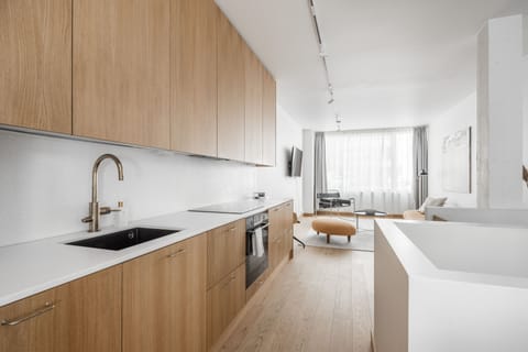 Deluxe Apartment | Private kitchen | Full-size fridge, microwave, oven, stovetop