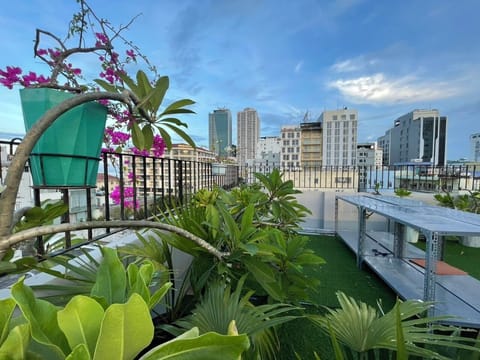 Rooftop terrace