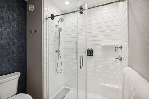 Hair dryer, towels, soap, shampoo