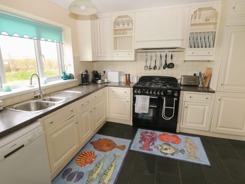 Fridge, dishwasher, electric kettle, toaster