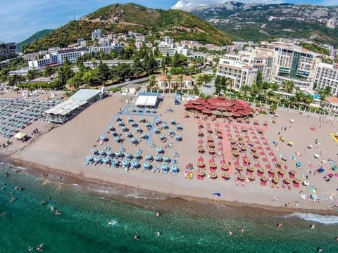 On the beach, beach shuttle, sun loungers, beach umbrellas