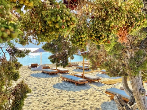 Beach nearby, sun loungers, beach umbrellas, beach towels