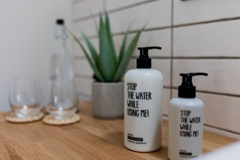 Double Room | Bathroom | Shower, hair dryer, towels, soap