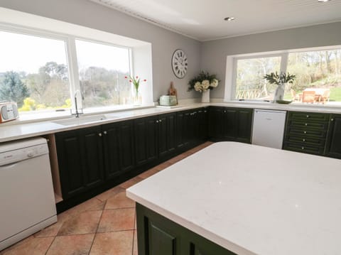 Fridge, dishwasher, cookware/dishes/utensils