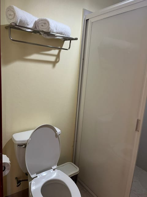 Standard Double Room | Bathroom | Rainfall showerhead, towels